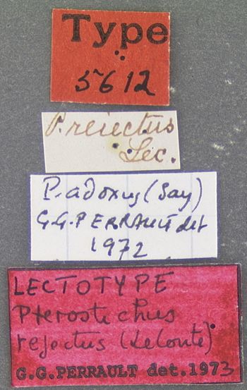 Media type: image;   Entomology 5612 Aspect: labels